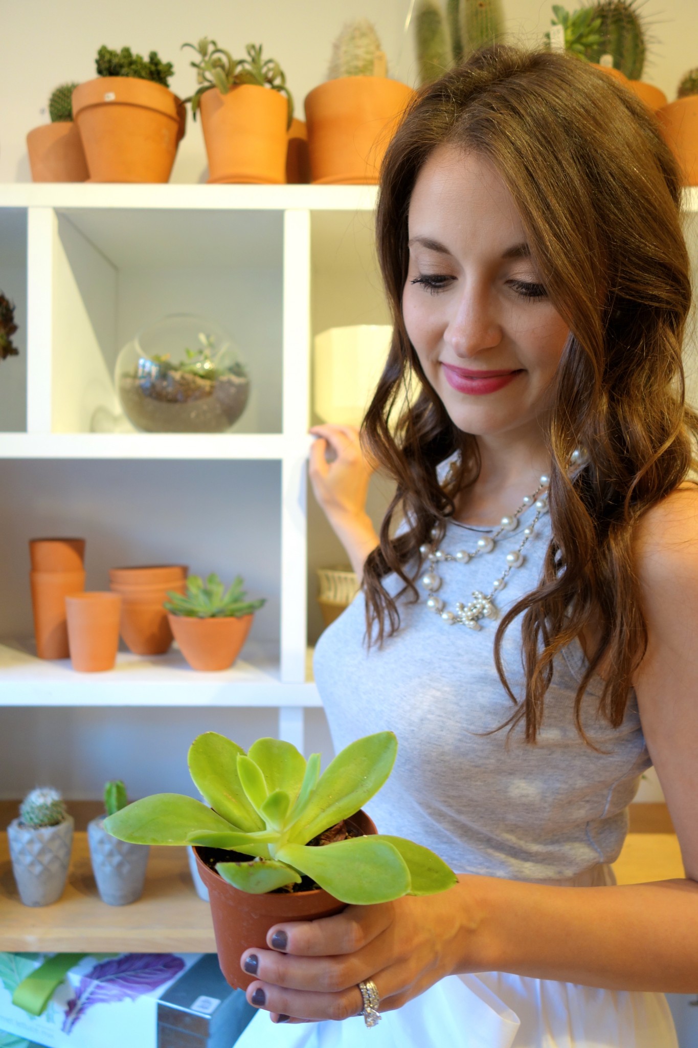 Where to Buy Succulents, Air Plants, and Other Indoor Greenery in