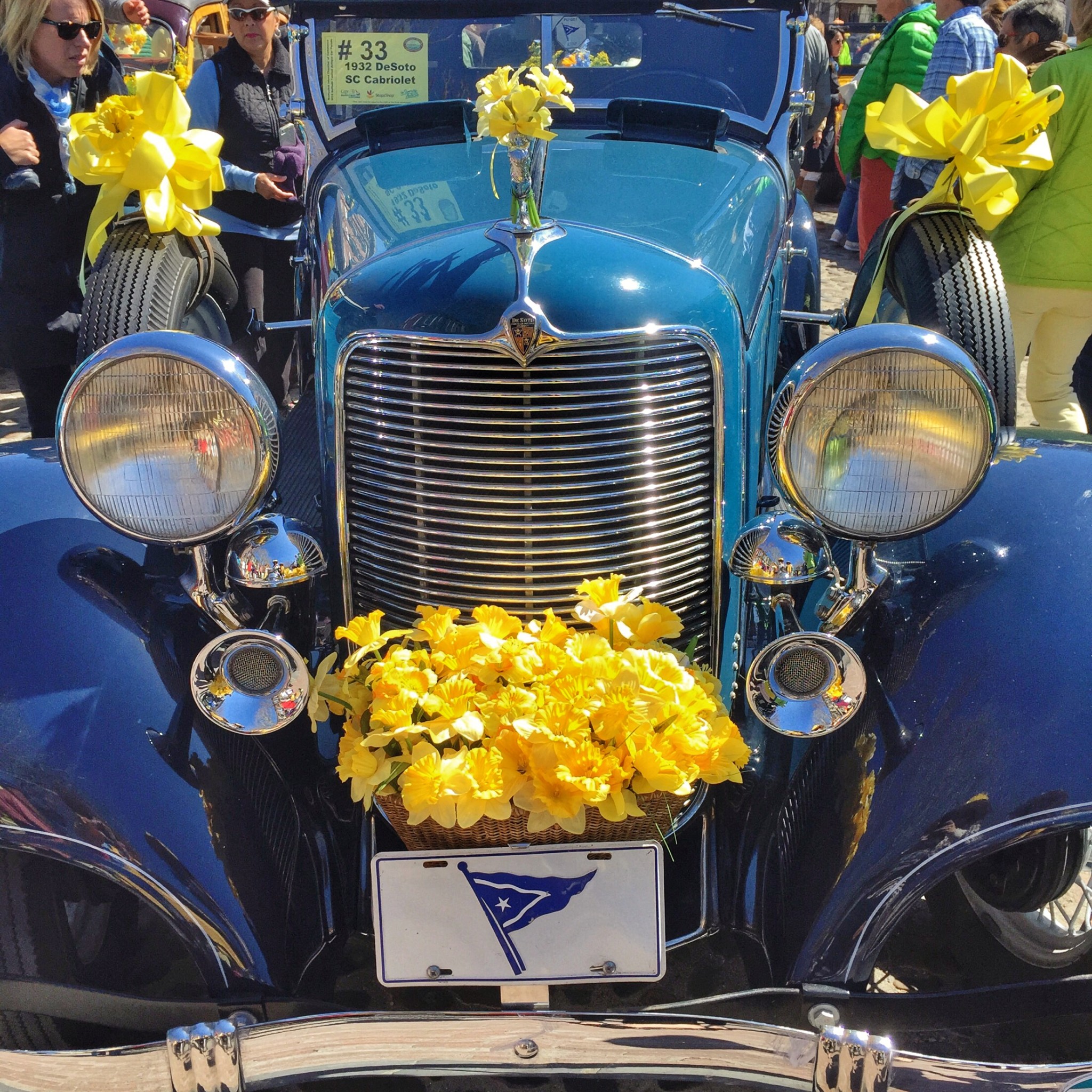 nantucket daffodil festival, the-alyst.com