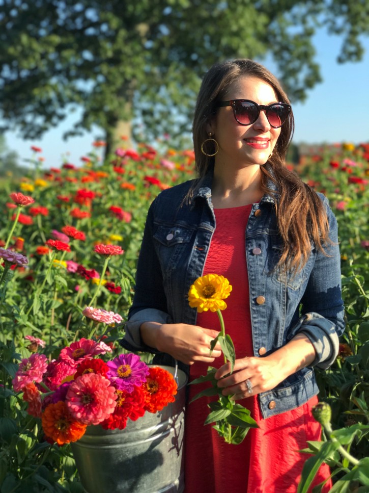 Where to Pick Your Own Flowers in Massachusetts The ALyst A Boston