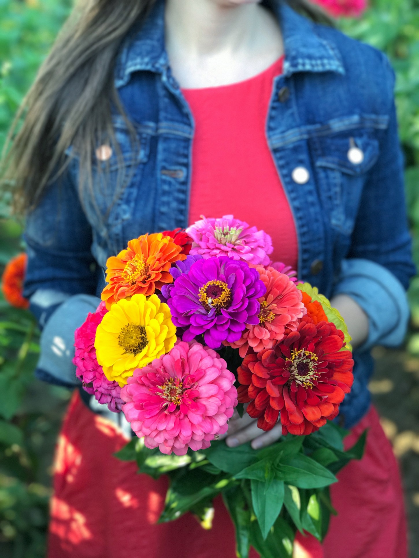 Where to Pick Your Own Flowers in Massachusetts The ALyst A Boston