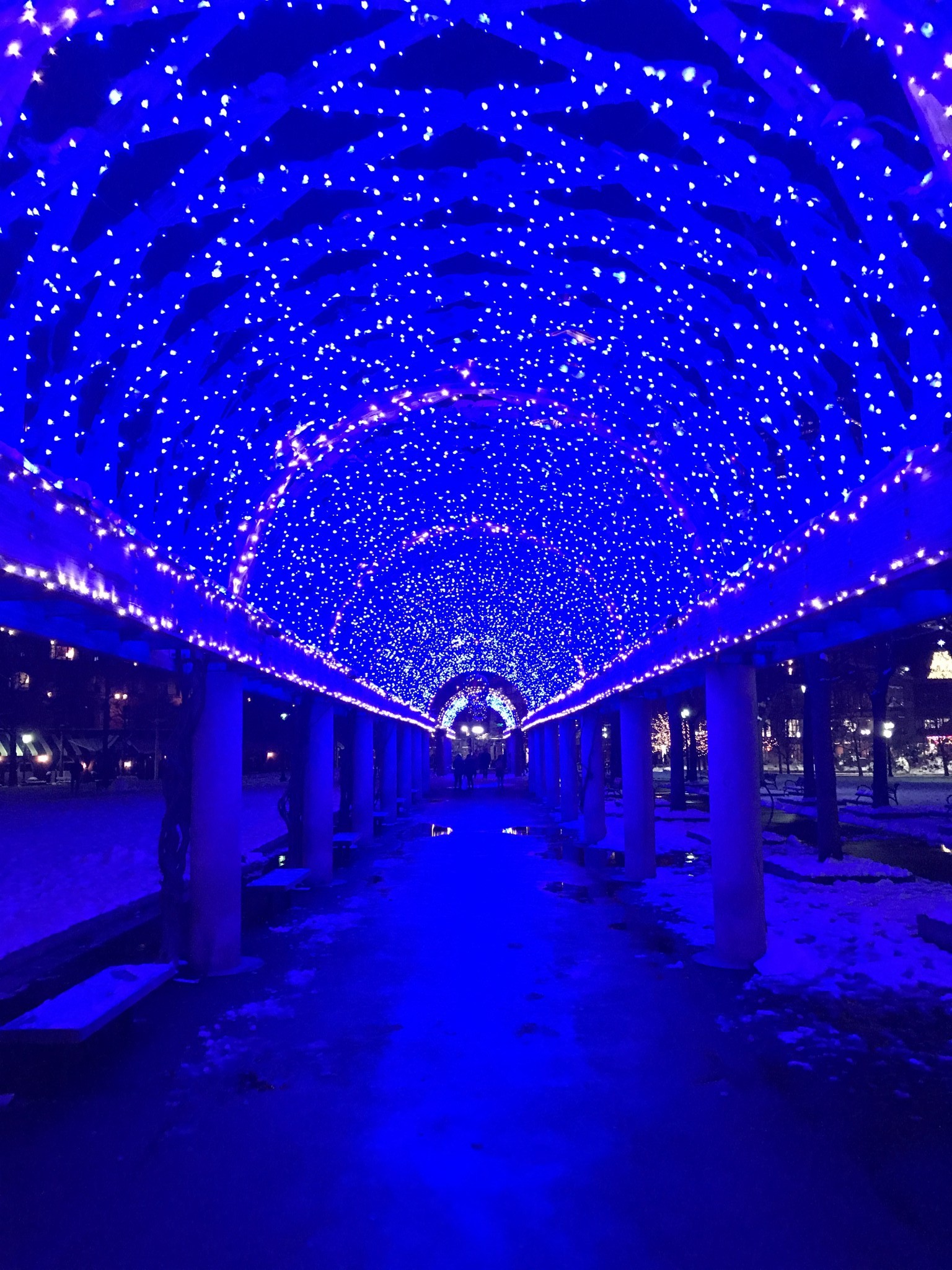 boston, christopher columbus park, boston, holiday lights, the-alyst.com