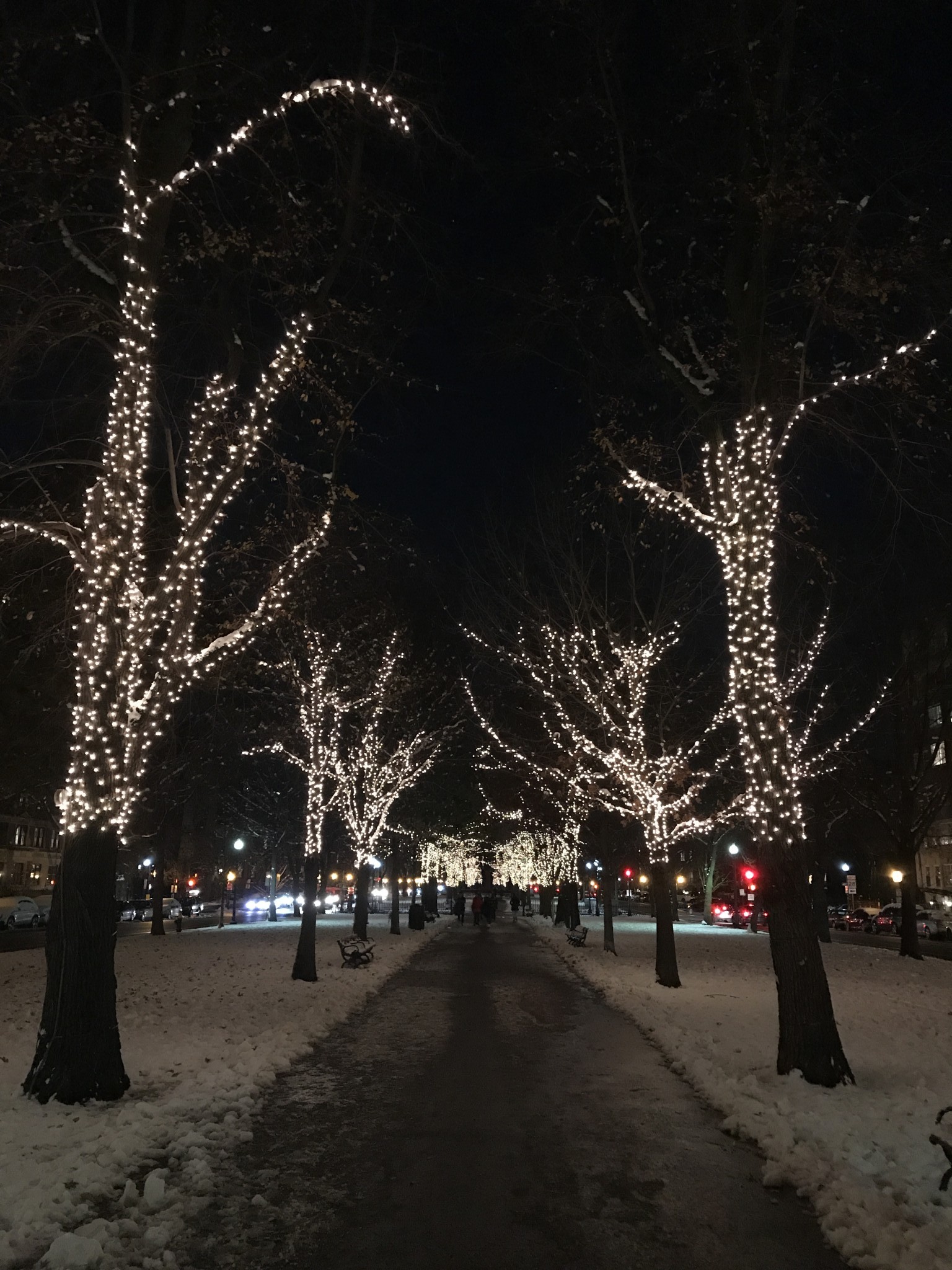 commonwealth avenue mall, holiday lights, the-alyst.com