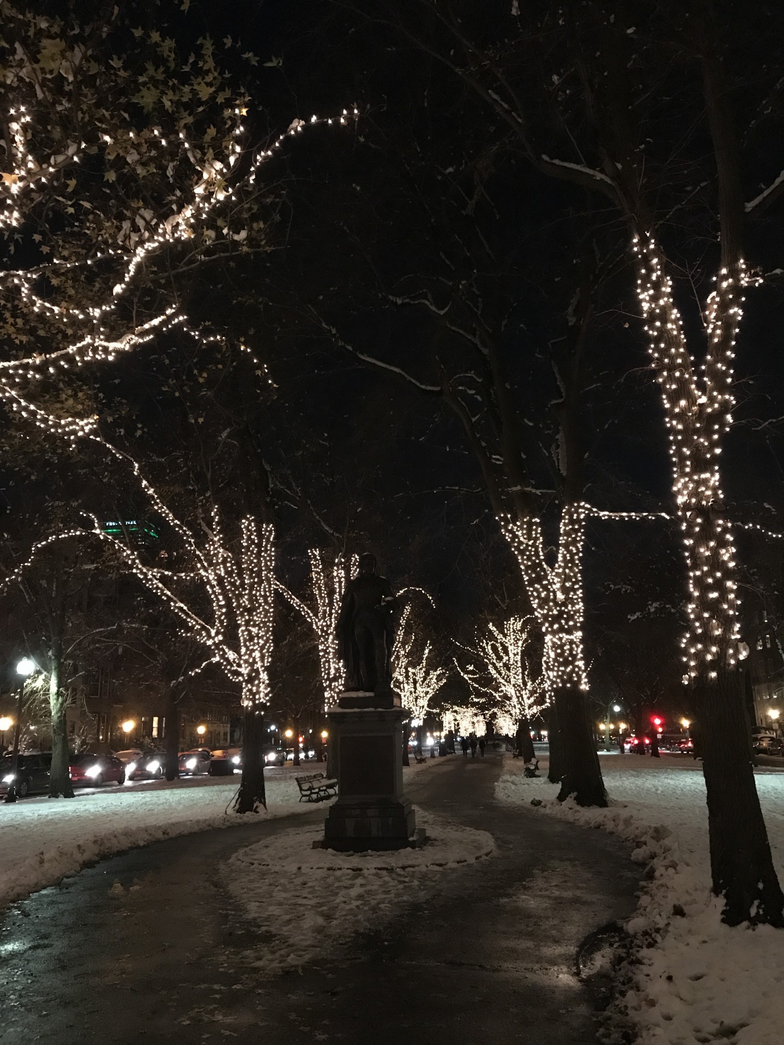 commonwealth avenue mall, holiday lights, the-alyst.com