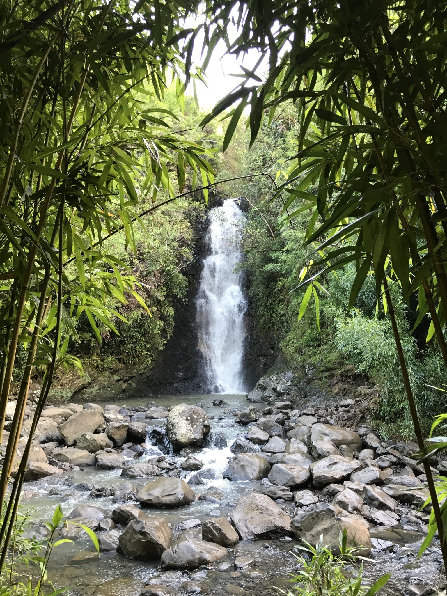 Bamboo Forest: Na'ili'ili Haele trail - off the beaten path - See 170 traveler reviews, 200 candid photos, and great deals for Maui, HI, at TripAdvisor. four waterfalls of Na'ili'ili - Maui Forum - TripAdvisor https://www.tripadvisor.com › ... › Hawaii (HI) › Maui › Maui Travel Forum Answer 1 of 11: My fiance and I leave for Hawaii in a couple weeks (!). I was wondering if people have hiked the four waterfalls of Na'ili'ili, I did a search, but didn't find many results. It sounds pretty amazing, accoring to Maui Revealed, but... Maui Hiking: Bamboo Forest & Na'ili'ili-Haele Falls (HD) - YouTube Video for na'ili'ili haele▶ 3:24 https://www.youtube.com/watch?v=O4HK07g_NMA Nov 14, 2011 - Uploaded by nguyent27 A beautiful & serene hike through a bamboo forest and the four falls of Na'ili'ili-Haele on the road to Hana ... Hiking (& Plunging) in Hawaii's Bamboo Forest: the Na'ili'ili-Haele in ... https://www.outdoorwomensalliance.com/hiking-plunging-in-hawaiis-bamboo-forest-... My husband Josh and I recently made a leap from living in Canada to island life in Hawaii and as such, were in need of finding adventure in this completely new climate and landscape. Luckily, our friend Alexis knew where to take a pair of newbies. Introducing: the Bamboo Forest at Na'ili'ili-Haele stream in Maui. This hike ... Images for na'ili'ili haele Image result for na'ili'ili haele Image result for na'ili'ili haele Image result for na'ili'ili haele Image result for na'ili'ili haele Image result for na'ili'ili haele More images for na'ili'ili haele Report images Na'ili'ili-haele Four Waterfalls Hike (KAPU) | Maui Hawaii https://www.hawaii-guide.com › Maui › Maui Hiking Trails Oct 12, 2017 - You might read about this spot online or in another guidebook. A half-mile beyond the 6 mile marker a trail leads mauka to four different falls. The spot should be considered Kapu, or off-limits. It's located on private EMI property. EMI is the East Maui Irrigation company, and they have ditches running most of ... Road to Hana Waterfalls - Maui - FreeTravelGuys freetravelguys.com/travel-reviews/road-to-hana-waterfalls-review/ Jul 25, 2013 - We managed to visit Haipua'ena Falls, Lower Puohokamoa Falls, and Na'ili'ili-haele Falls. We traveled with the kids (7 & 4) and since we had already been to Hana, we opted to take a different approach of driving to the farthest fall that we wanted to visit and work our way back. First was Haipua'ena Falls ... Tips for Hiking Na'Ili'Ili-Haele (Bamboo Forest) – Maui - The Tattered ... www.tatteredbackpack.com/destinations/hiking-the-bamboo-forest-maui/ Oct 28, 2014 - The incredibly beautiful Na'Ili'Ili-Haele hike AKA Bamboo Forest is a Maui hidden gem, giving you a chance to experience the surreal beauty that Maui has to offer. You'll journey through a bamboo veil, which opens up into lush jungle, fresh water swimming holes, and a number of amazing waterfalls. Itinerary Question - Wailea to Na'ili'ili Haele Stream - Maui ... https://www.tripadvisor.co.za › ... › Hawaii (HI) › Maui › Maui Travel Forum Jan 6, 2017 - Answer 1 of 10: On google maps it says the drive time from Wailea to Na'ili'ili Haele Stream & Waterfalls is approx 1 hr and 5 mins...Can someone confirm if this sounds about right? My intention is to drive to Paia for breakfast from Wailea...then... Searches related to na'ili'ili haele na'ili'ili haele mile marker na'ili'ili haele falls maui bamboo forest maui directions bamboo forest haleakala national park maui bamboo forest maui trail map lower puohokamoa falls na ili ili haele waterfall bamboo forest hawaii oahu 1 2 3 4 5 6 7 8 9 10 Next See photos Map of Na'ili'ili-haele Stream & Waterfallmap expand icon See outside Directions Na'ili'ili-haele Stream & Waterfall, road to hana, the-alyst.com
