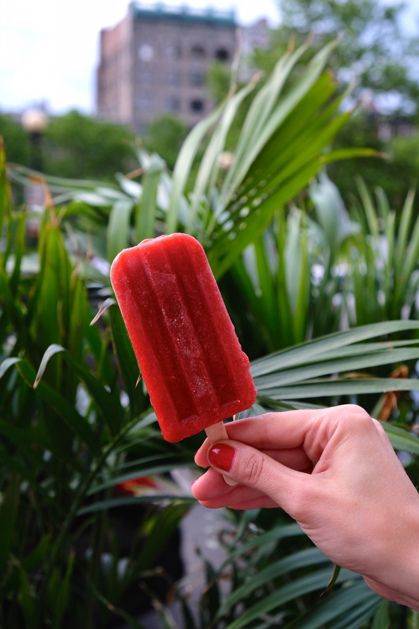 boozy popsicle, patio dining, fairmont copley plaza, oak long bar and kitchen, boston, the-alyst.com