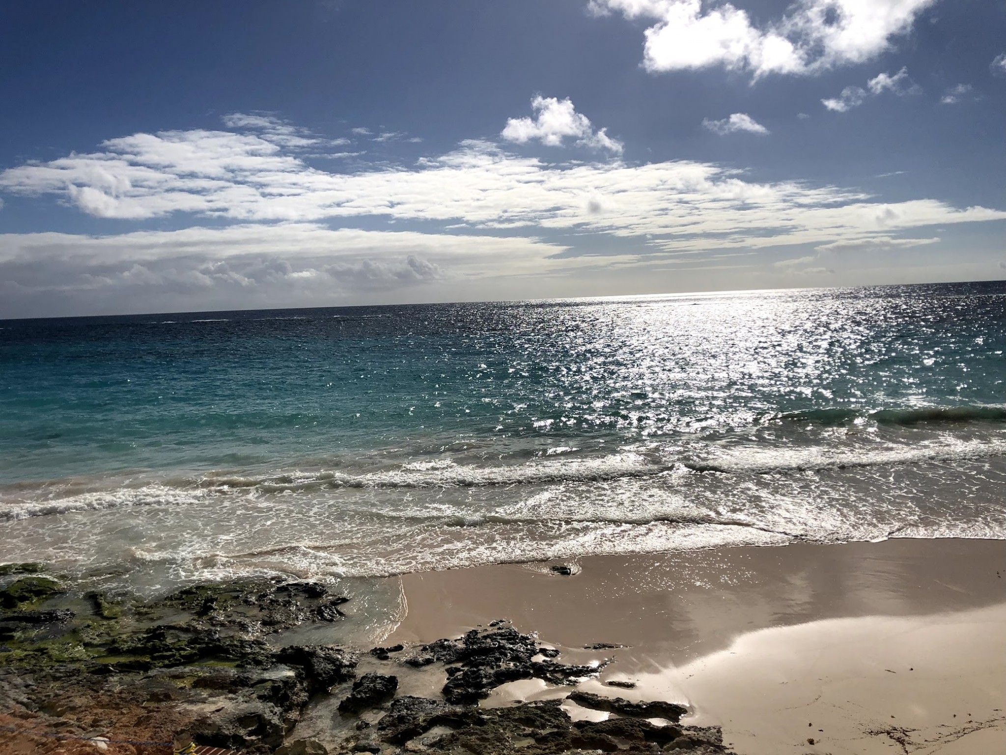 elbow beach, bermuda, the-alyst.com