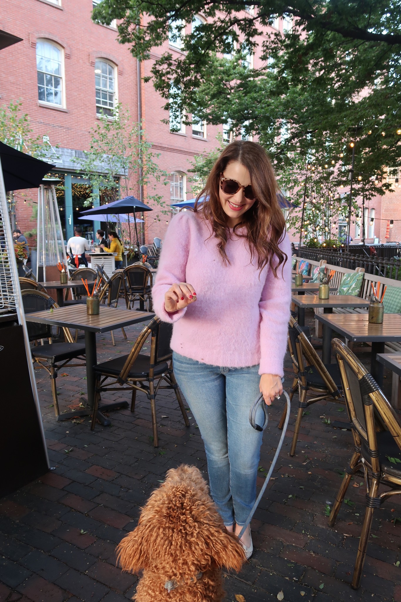 dog friendly patios in boston, the-alyst.com