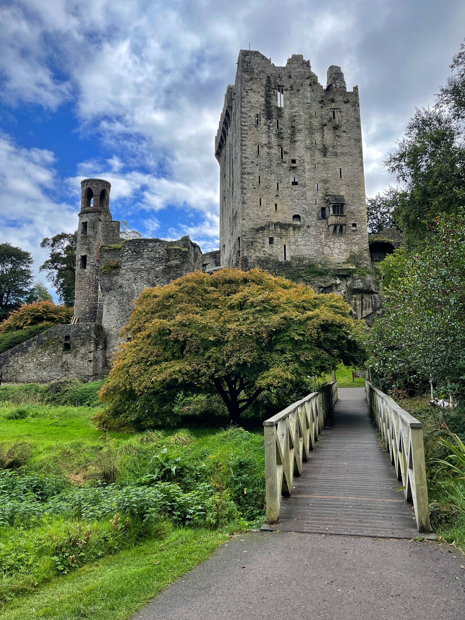 blarney castle, the-alyst.com