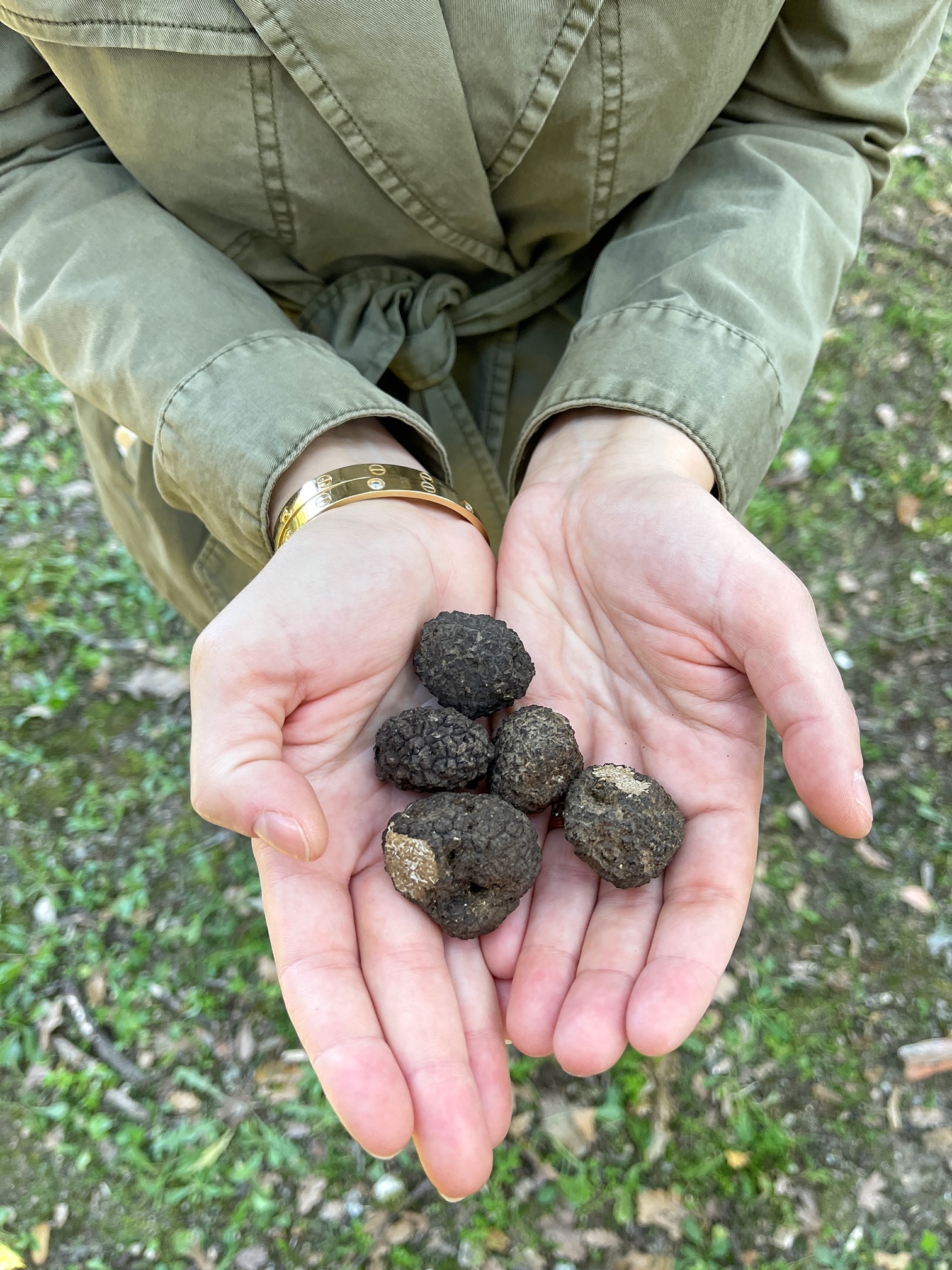 truffle hunting in tuscany, the-alyst.com